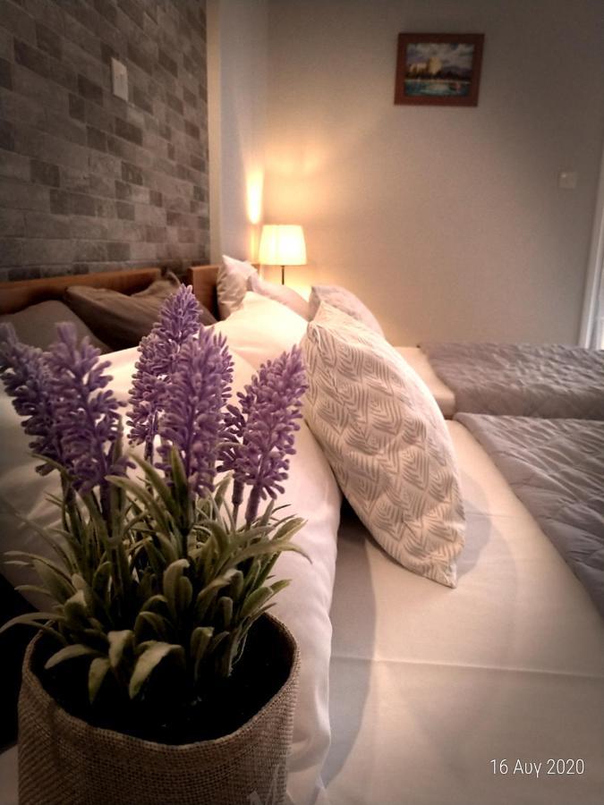 Adonis Apartments Παραλία Εξωτερικό φωτογραφία